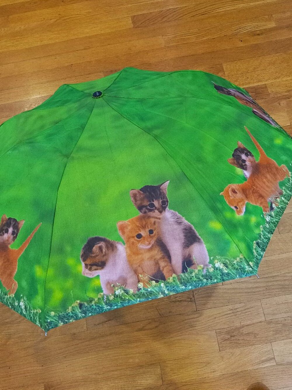 KITTENS Pop-Up Umbrella - Grass Green